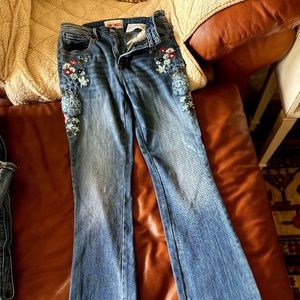 Driftwood Kelly Embroidered Jeans, Never Worn, Size 25 x 32